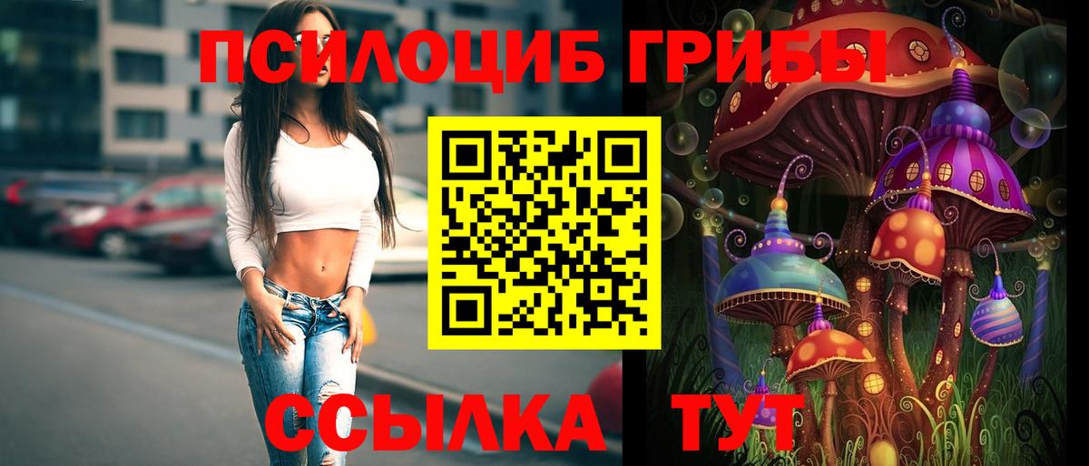 даркнет сайт  Вход с VPN  Тихорецк  Псилоцибиновые грибы MAGIC MUSHROOMS 